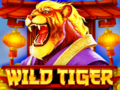 Wild Tiger