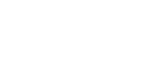 ایولوشن گیمنگ partner logo