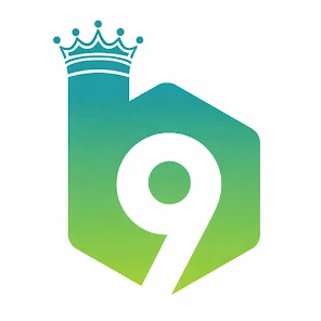 b9 game Logo